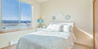 Central Park Gallery 5