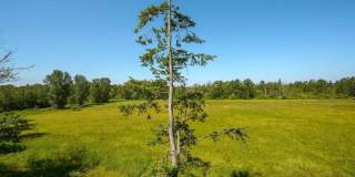 Alder Creek Gallery 14