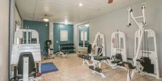 Sunset Woodland Gallery 12