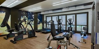 Avia 266 Gallery 23