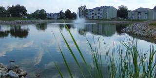 Pier 39 Apartments & Townhomes Gallery 5