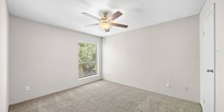 Flint at 290 Gallery 20