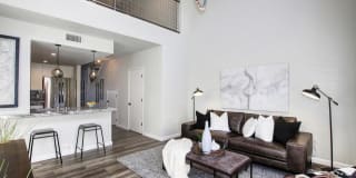 Lofts at Chestnut Gallery 1