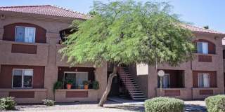 Desert Palms Gallery 7