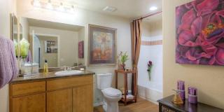 Enclave at Arrowhead Gallery 7