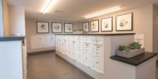 Orion Gallery 11
