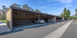 Saddleback Ranch Gallery 14