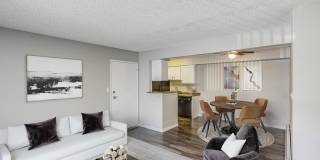 Ascent at Havana Gallery 2