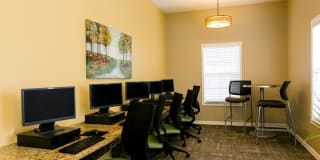 Coastline Cove Gallery 14