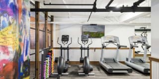 254 College Street Gallery 4