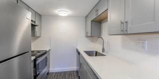 Palisade Park Gallery 21