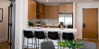 Illustrator Gallery 19