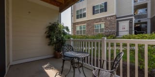 River Oaks Gallery 18