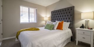 Dorado Heights Gallery 14