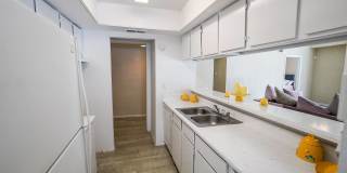 Trenton Place Gallery 23