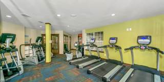 River Park Gallery 12