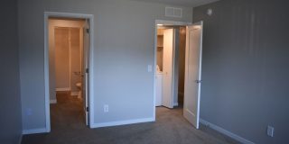 The Lake Shore Apartments Gallery 62