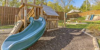 Falcon Falls Gallery 10