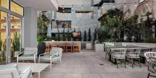 The Oasis Gallery 34