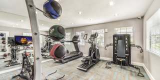 Desert Sage Gallery 20