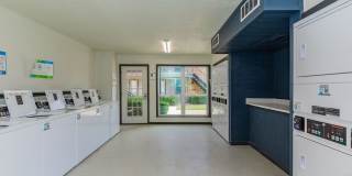 Forest Ridge Gallery 12