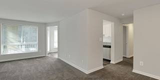 The Centre at Silver Spring Gallery 9