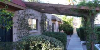 Palm Garden Gallery 22