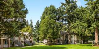 Autumn Chase Gallery 17