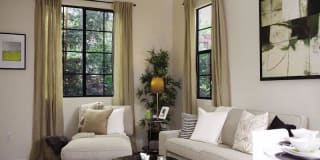 Renaissance at City Center Gallery 2