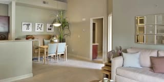 Los Cabos Villas Gallery 2