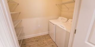 Davis Gardens Gallery 8