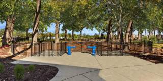 Albion on Lake Cook Gallery 27