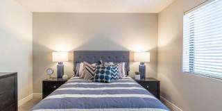 Agave on 83rd Gallery 13