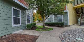 Seasons on the Park Gallery 23