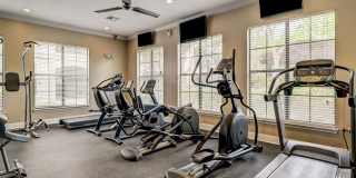 Paramount at Cedar Lodge Gallery 17