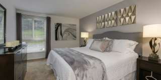 Steeplechase Gallery 18