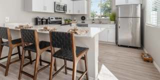 TerraLane on Cotton Gallery 2