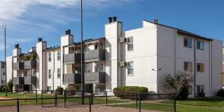 Ascent at Havana Gallery 22