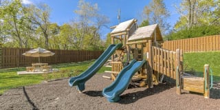 Falcon Falls Gallery 9