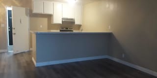 Newport Plaza Gallery 18