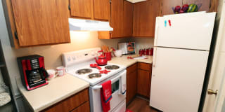 Alexis Park Gallery 5