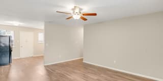 Bella Vista CO Gallery 11