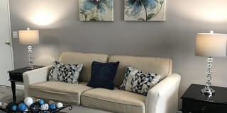 Reno Vista Gallery 3