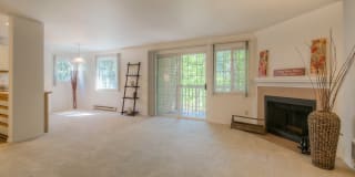 Fox Run Gallery 4