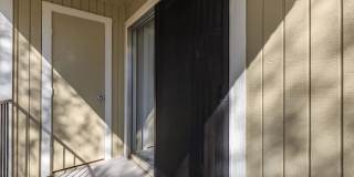 Wood Trail Gallery 31