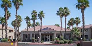 Palm Terrace Gallery 7