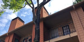 Sedona Ridge Gallery 26