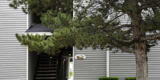 Aspire Clearfield Gallery 16