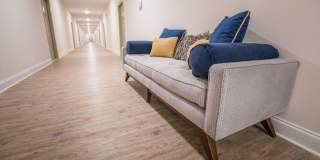 Davis Gardens Gallery 11