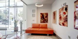 Tenley View Gallery 3